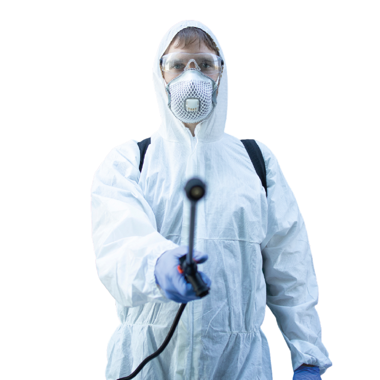 servicio 2 img_Mesa de trabajo 1 copia