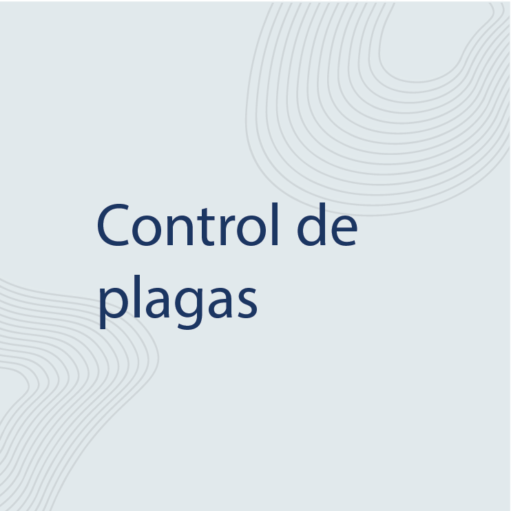 servicio 2 texto_Mesa de trabajo 1 copia