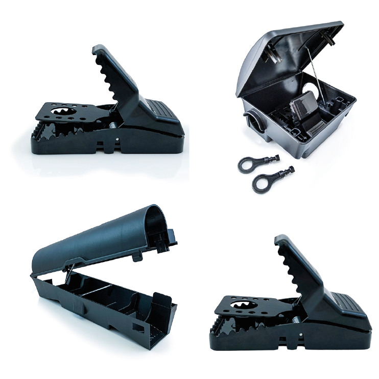 servicio 3 img_Mesa de trabajo 1 copia