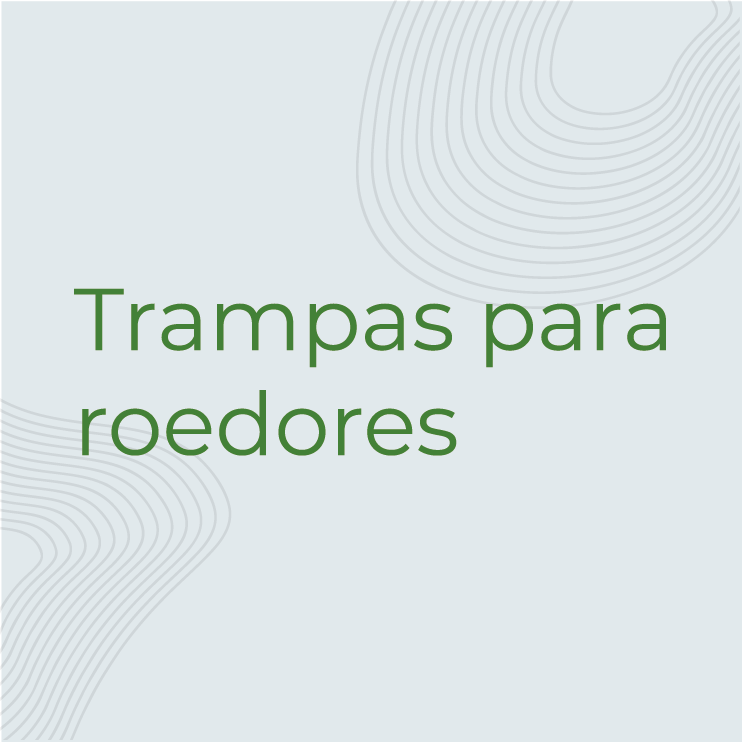 servicio 3 texto_Mesa de trabajo 1 copia