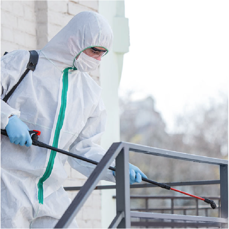 servicio 4 img_Mesa de trabajo 1 copia