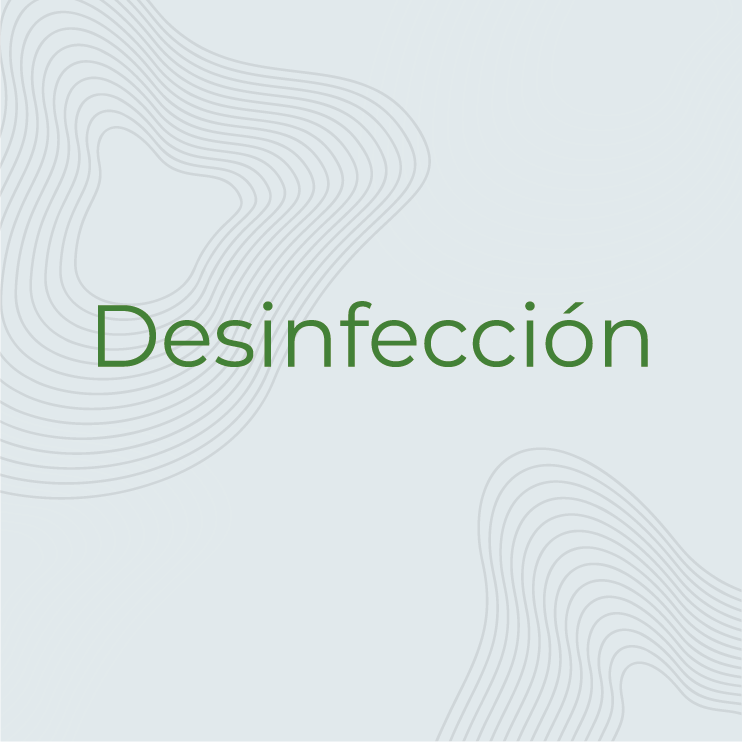 servicio 4 texto_Mesa de trabajo 1 copia